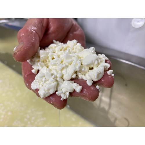 Curso PRÁCTICO de fabricación de quesos